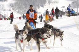 Lenk 2012 SM